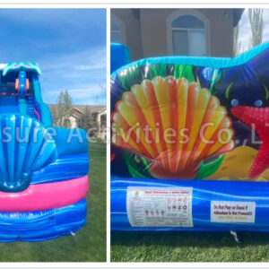 21ft weeki wachee mermaid plunge sl