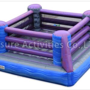 bouncy boxing (copy)