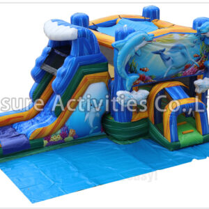 dolphin splash combo wet/dry v sl (include ground cover)