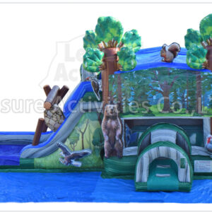 forest combo wet/dry v sl (include ground cover)