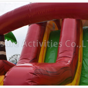 rock climb slide dinosaur wet/dry pl