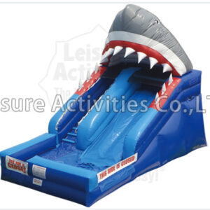 shark attack