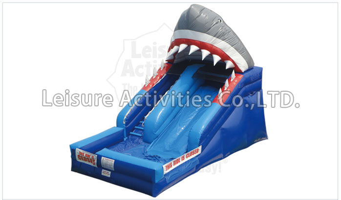 shark attack