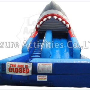 shark attack
