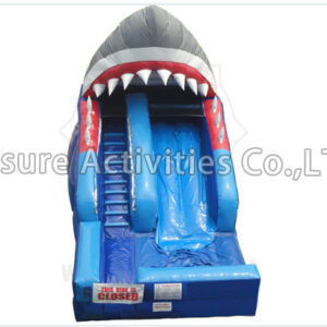 shark attack