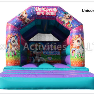 a frame purple teal bouncy castle