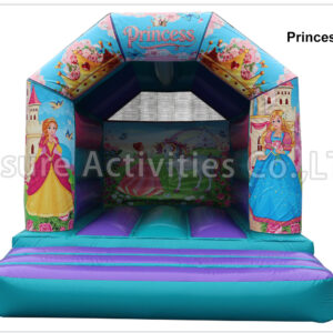 a frame purple teal bouncy castle