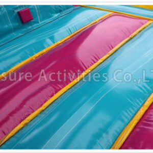 teddy bear double lane combo wet/dry v sl