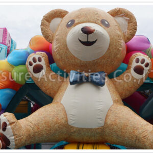 teddy bear double lane combo wet/dry v sl