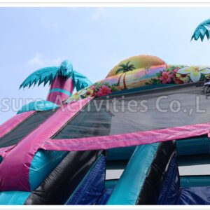 19ft double lane water slide palm beach ripl 19ft double lane water slide palm beach ripl