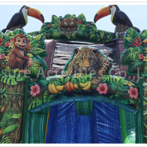 18ft rainforest double lane water slide ripl (max height 19ft)