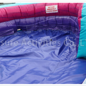 22ft magical vibes double lane water slide sl