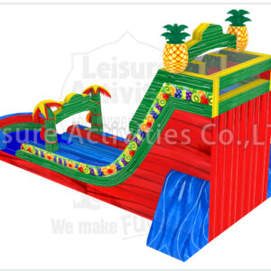 22ft fruit rush double lane water slide sl