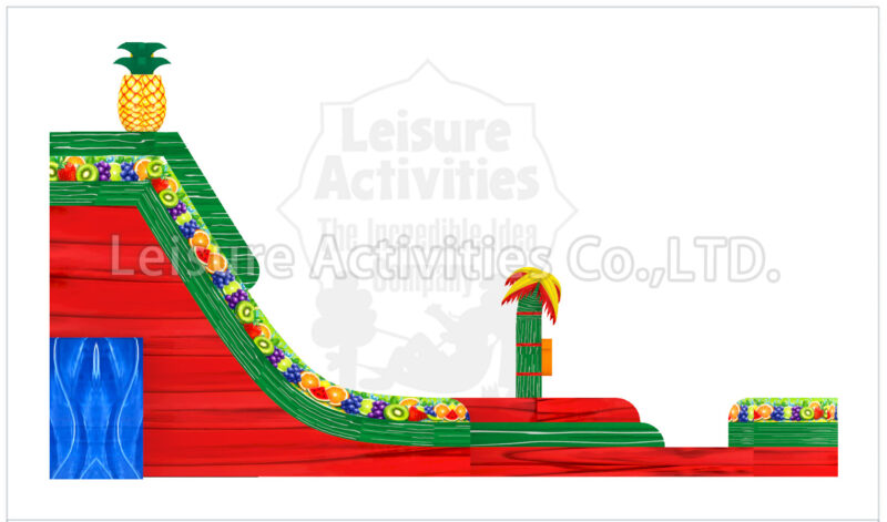 22ft fruit rush double lane water slide sl